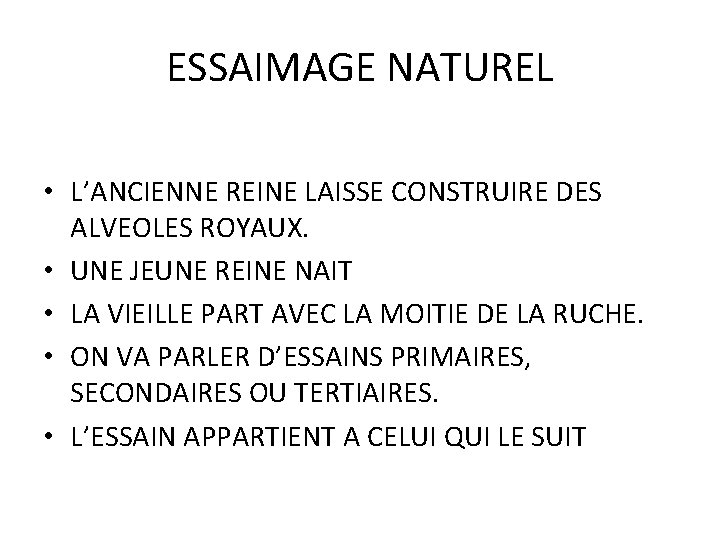 ESSAIMAGE NATUREL • L’ANCIENNE REINE LAISSE CONSTRUIRE DES ALVEOLES ROYAUX. • UNE JEUNE REINE ESSAIMAGE NATUREL • L’ANCIENNE REINE LAISSE CONSTRUIRE DES ALVEOLES ROYAUX. • UNE JEUNE REINE