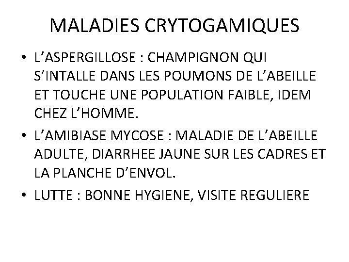 MALADIES CRYTOGAMIQUES • L’ASPERGILLOSE : CHAMPIGNON QUI S’INTALLE DANS LES POUMONS DE L’ABEILLE ET MALADIES CRYTOGAMIQUES • L’ASPERGILLOSE : CHAMPIGNON QUI S’INTALLE DANS LES POUMONS DE L’ABEILLE ET