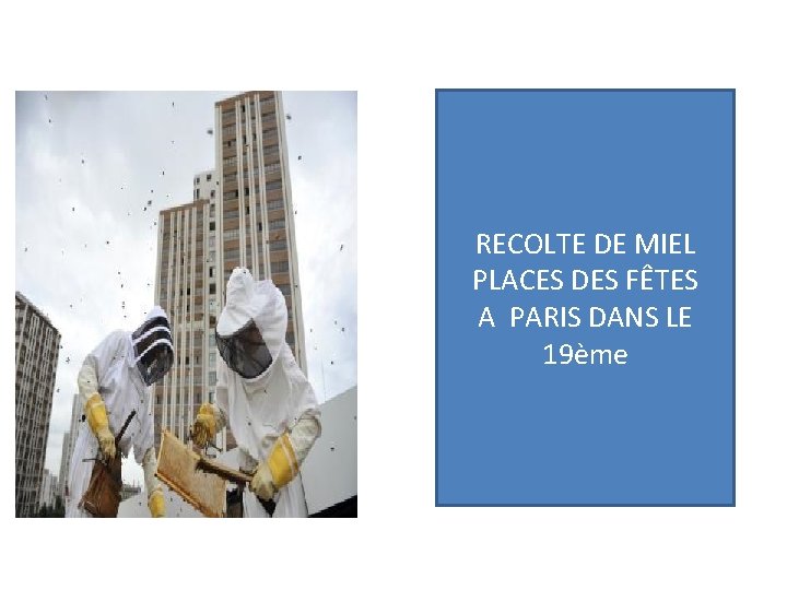 RECOLTE DE MIEL PLACES DES FÊTES A PARIS DANS LE 19ème RECOLTE DE MIEL PLACES DES FÊTES A PARIS DANS LE 19ème