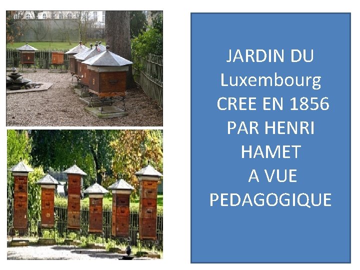 JARDIN DU Luxembourg CREE EN 1856 PAR HENRI HAMET A VUE PEDAGOGIQUE JARDIN DU Luxembourg CREE EN 1856 PAR HENRI HAMET A VUE PEDAGOGIQUE
