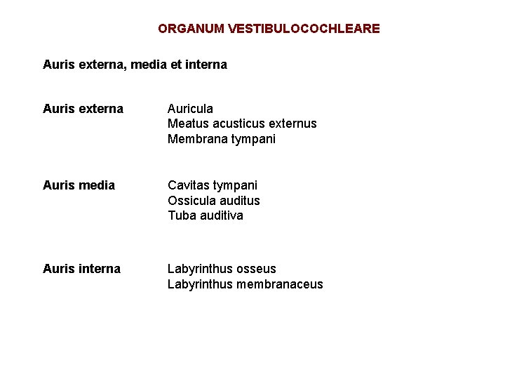 ORGANUM VESTIBULOCOCHLEARE Auris externa, media et interna Auris externa Auricula Meatus acusticus externus Membrana