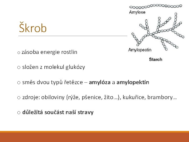Škrob o zásoba energie rostlin o složen z molekul glukózy o směs dvou typů