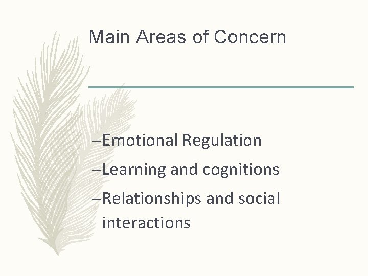 Main Areas of Concern –Emotional Regulation –Learning and cognitions –Relationships and social interactions 