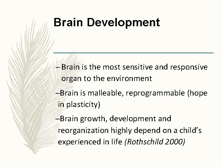 Brain Development – Brain is the most sensitive and responsive organ to the environment