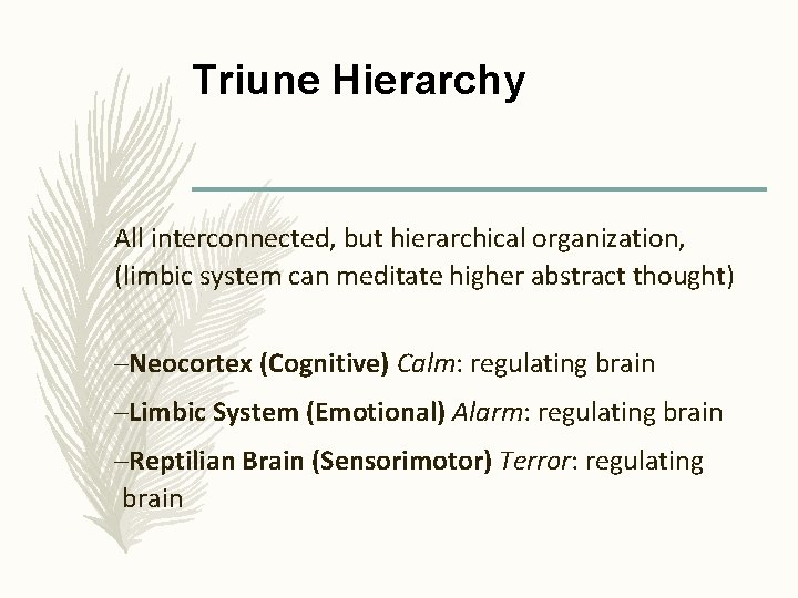Triune Hierarchy All interconnected, but hierarchical organization, (limbic system can meditate higher abstract thought)