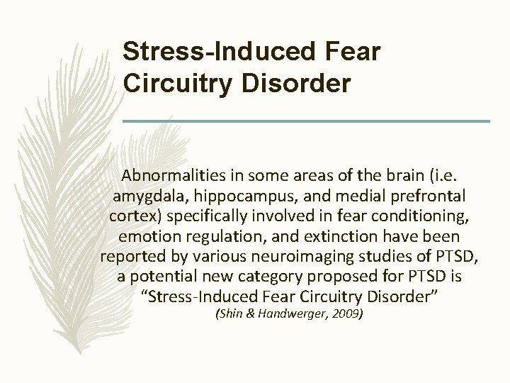 Stress-Induced Fear Circuitry Disorder Abnormalities in some areas of the brain (i. e. amygdala,