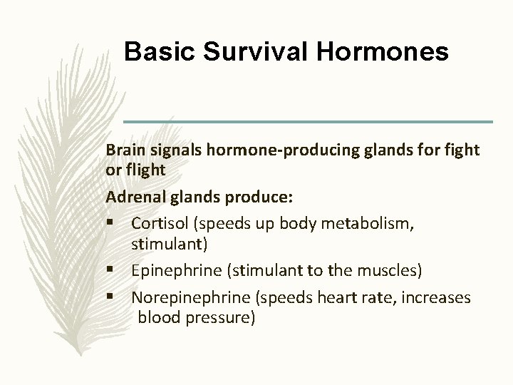 Basic Survival Hormones Brain signals hormone-producing glands for fight or flight Adrenal glands produce: