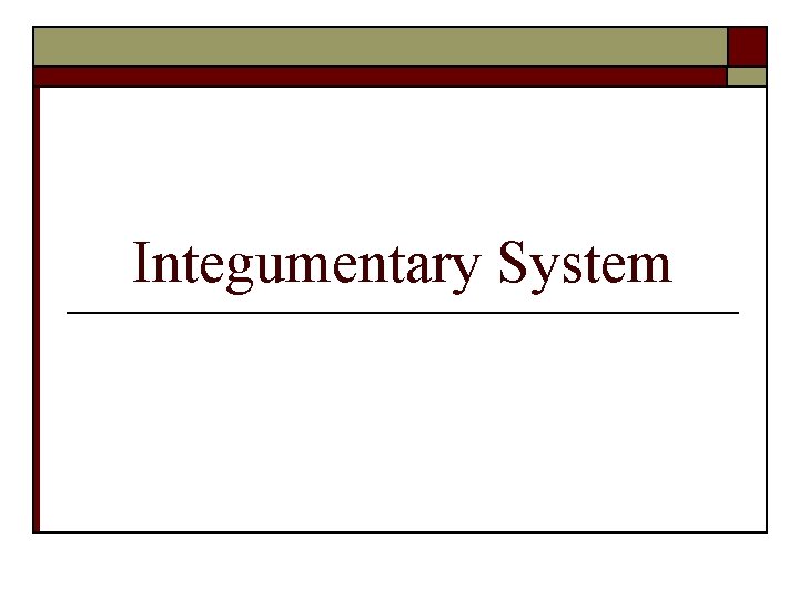 Integumentary System 