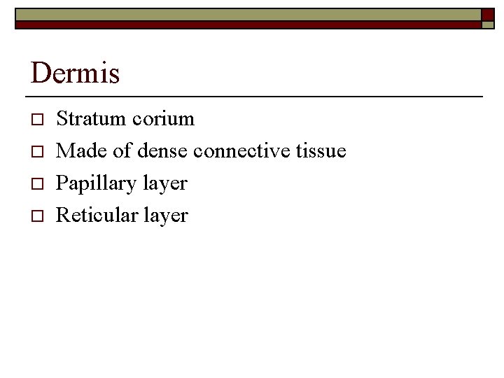 Dermis o o Stratum corium Made of dense connective tissue Papillary layer Reticular layer