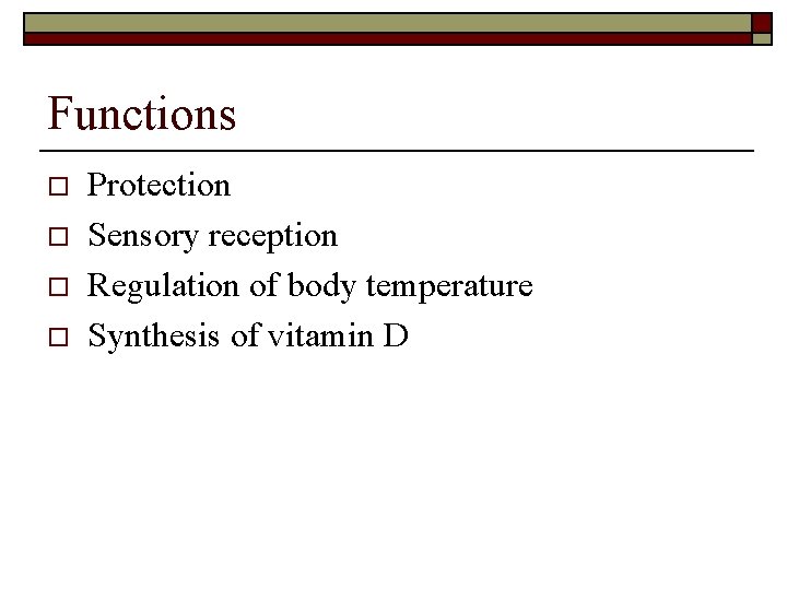 Functions o o Protection Sensory reception Regulation of body temperature Synthesis of vitamin D