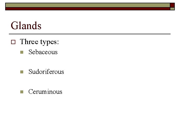 Glands o Three types: n Sebaceous n Sudoriferous n Ceruminous 