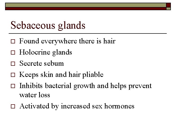 Sebaceous glands o o o Found everywhere there is hair Holocrine glands Secrete sebum