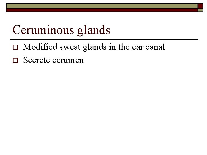 Ceruminous glands o o Modified sweat glands in the ear canal Secrete cerumen 