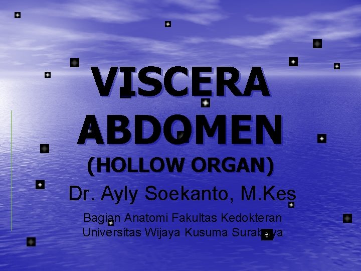 VISCERA ABDOMEN (HOLLOW ORGAN) Dr. Ayly Soekanto, M. Kes Bagian Anatomi Fakultas Kedokteran Universitas