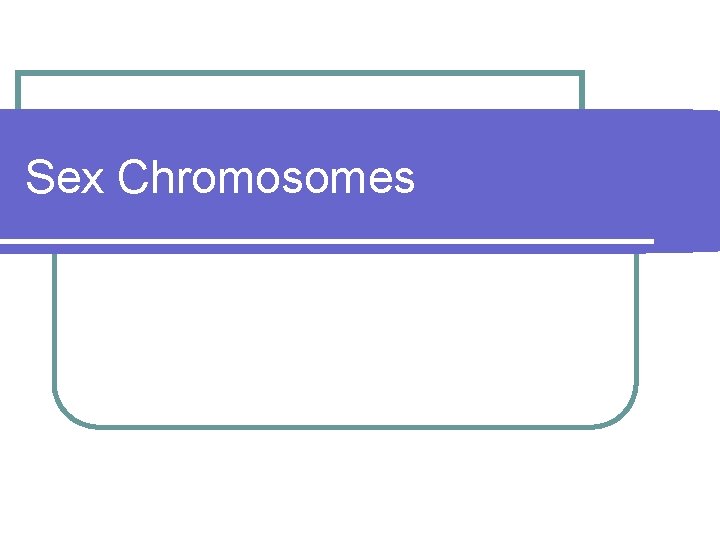 Sex Chromosomes 