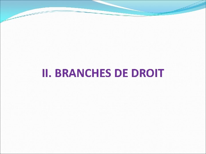 II. BRANCHES DE DROIT 