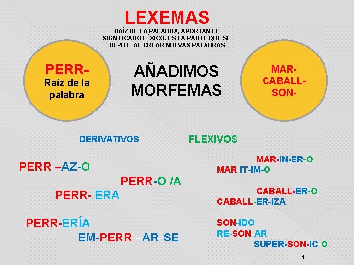 LEXEMAS RAÍZ DE LA PALABRA, APORTAN EL SIGNIFICADO LÉXICO. ES LA PARTE QUE SE