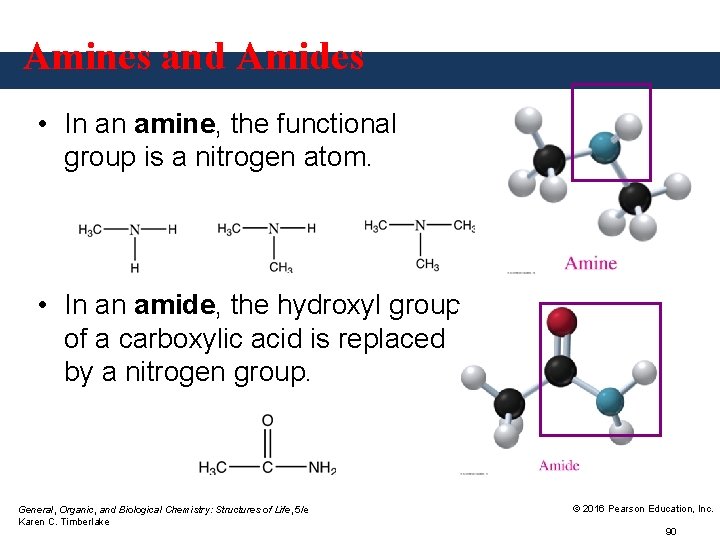 Amines and Amides • In an amine, the functional group is a nitrogen atom.