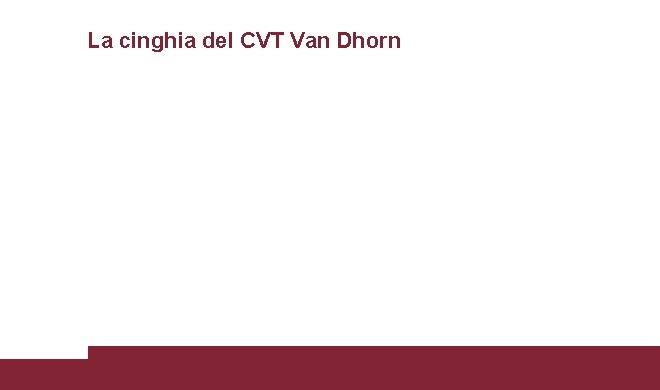 La cinghia del CVT Van Dhorn 