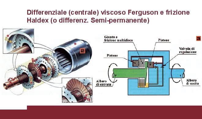 Differenziale (centrale) viscoso Ferguson e frizione Haldex (o differenz. Semi-permanente) 