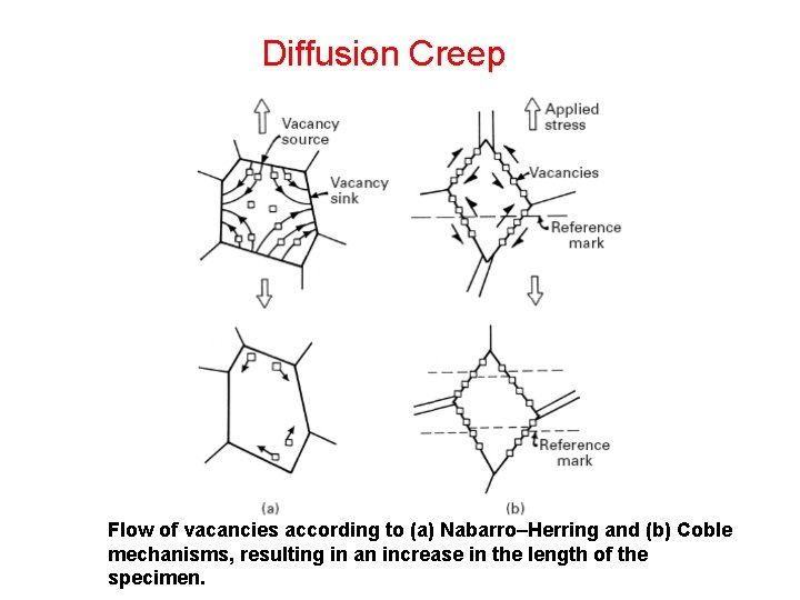 Diffusion Creep Flow of vacancies according to (a) Nabarro–Herring and (b) Coble mechanisms, resulting