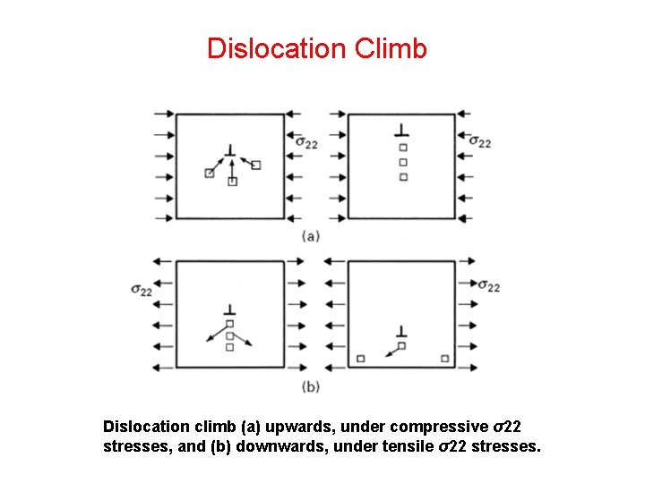 Dislocation Climb Dislocation climb (a) upwards, under compressive σ22 stresses, and (b) downwards, under