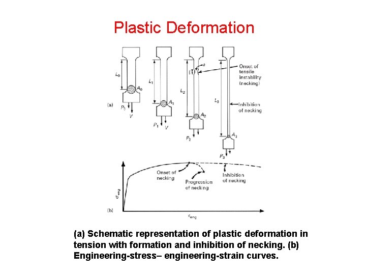 Plastic Deformation (a) Schematic representation of plastic deformation in tension with formation and inhibition