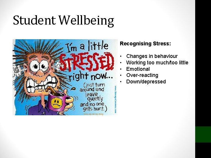 Student Wellbeing Recognising Stress: • • • Changes in behaviour Working too much/too little