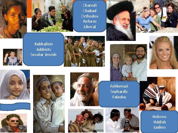 Charedi Chabad Orthodox Reform Liberal Kabbalists Jubbists Secular Jewish Ashkenazi Sephardic Falasha Hebrew Yiddish