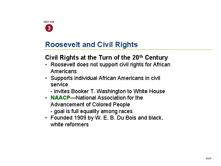 SECTION 3 Roosevelt and Civil Rights at the Turn of the 20 th Century