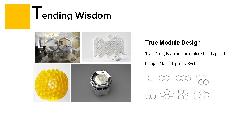 Tending Wisdom True Module Design Transform, is an unique feature that is gifted to