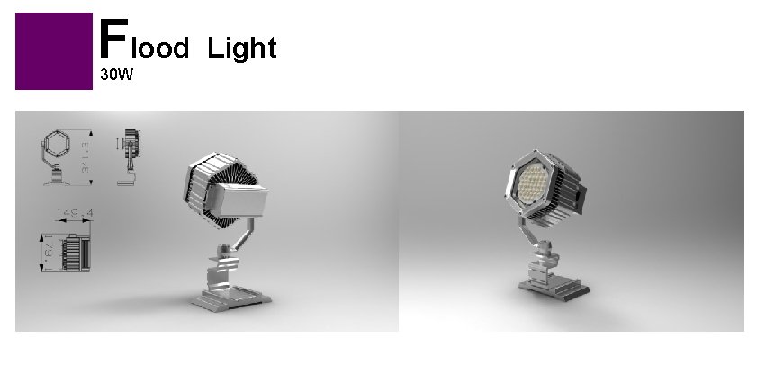 Flood Light 30 W 