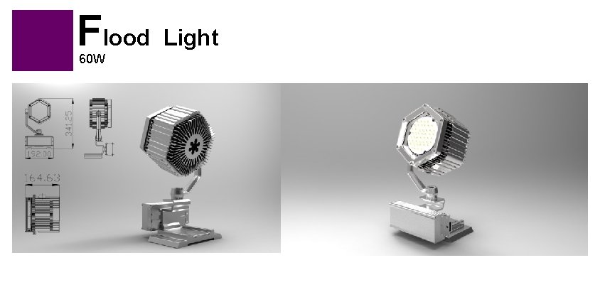 Flood Light 60 W 