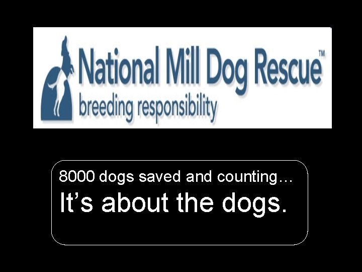 National Mill Dog Rescue 8000 dogs saved and counting… It’s about the dogs. 1