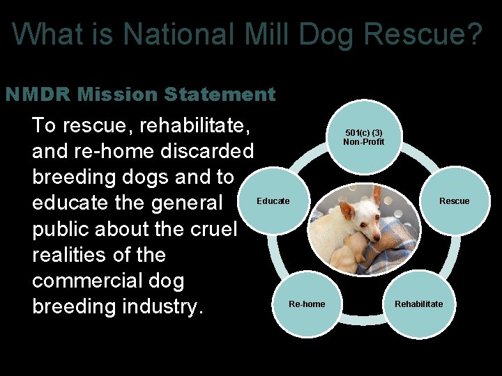 What is National Mill Dog Rescue? NMDR Mission Statement To rescue, rehabilitate, and re-home