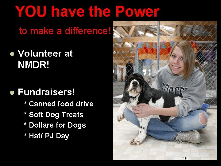 YOU have the Power to make a difference! l Volunteer at NMDR! l Fundraisers!