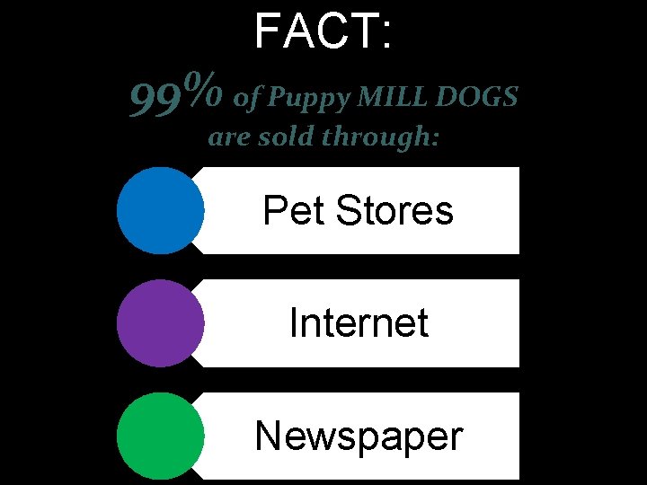 FACT: 99% of Puppy MILL DOGS are sold through: Pet Stores Internet Newspaper 2