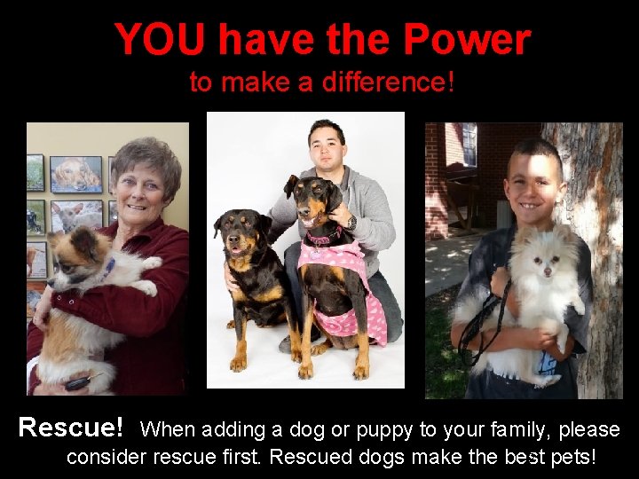 YOU have the Power to make a difference! Rescue! When adding a dog or