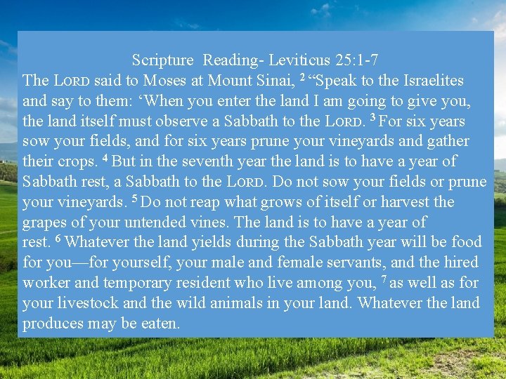 Scripture Reading- Leviticus 25: 1 -7 The LORD said to Moses at Mount Sinai,