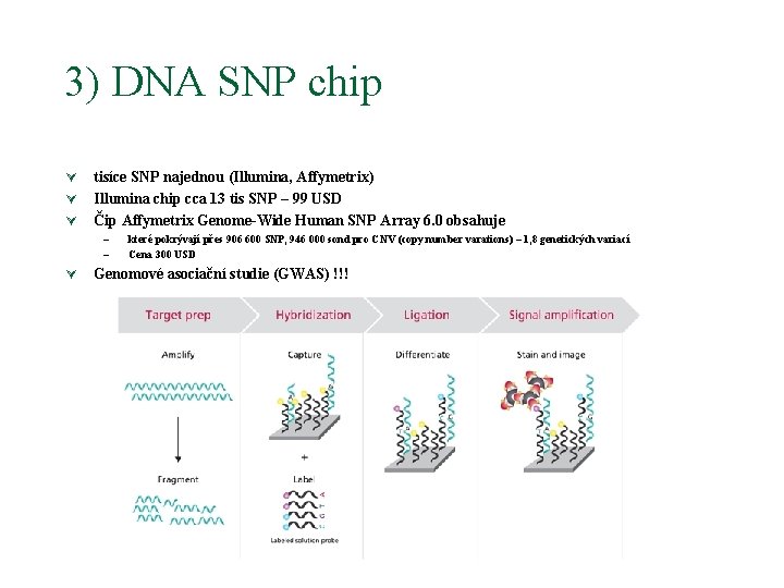 3) DNA SNP chip Ú Ú Ú tisíce SNP najednou (Illumina, Affymetrix) Illumina chip