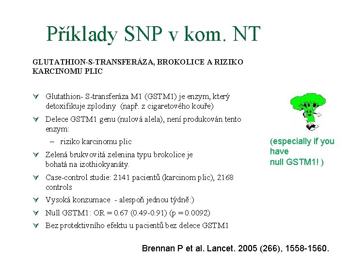 Příklady SNP v kom. NT GLUTATHION-S-TRANSFERÁZA, BROKOLICE A RIZIKO KARCINOMU PLIC Ú Glutathion- S-transferáza