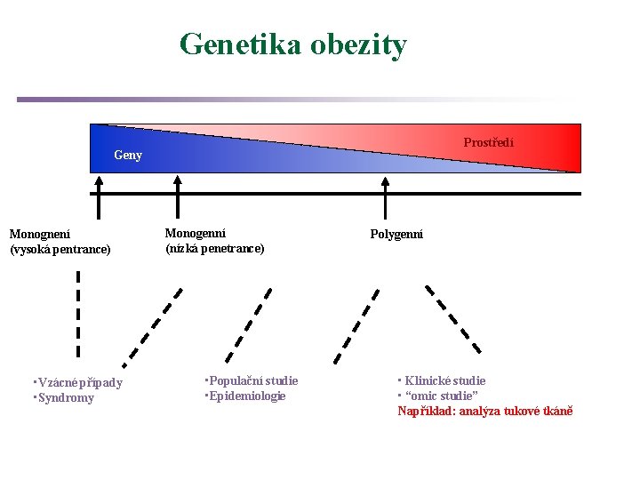 Genetika obezity Prostředí Geny Monognení (vysoká pentrance) • Vzácné případy • Syndromy Monogenní (nízká