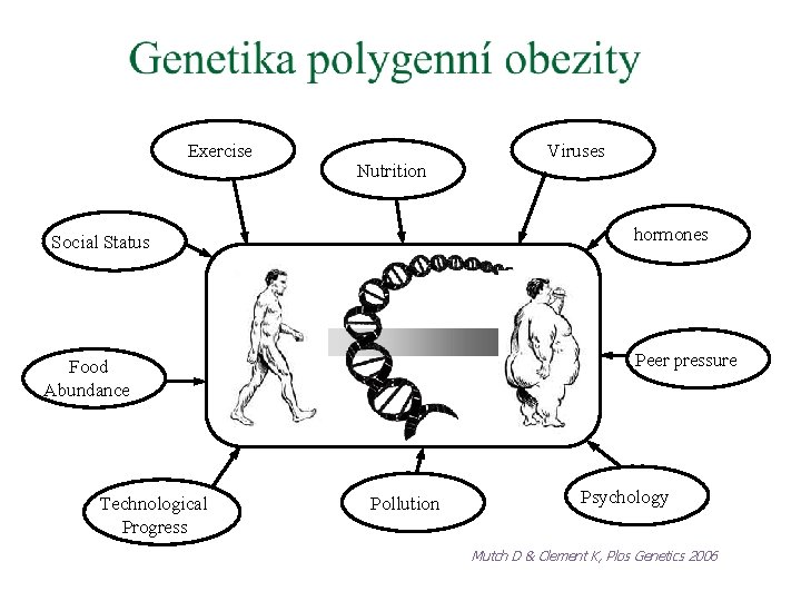 Exercise Nutrition hormones Social Status Peer pressure Food Abundance Technological Progress Viruses Pollution Psychology