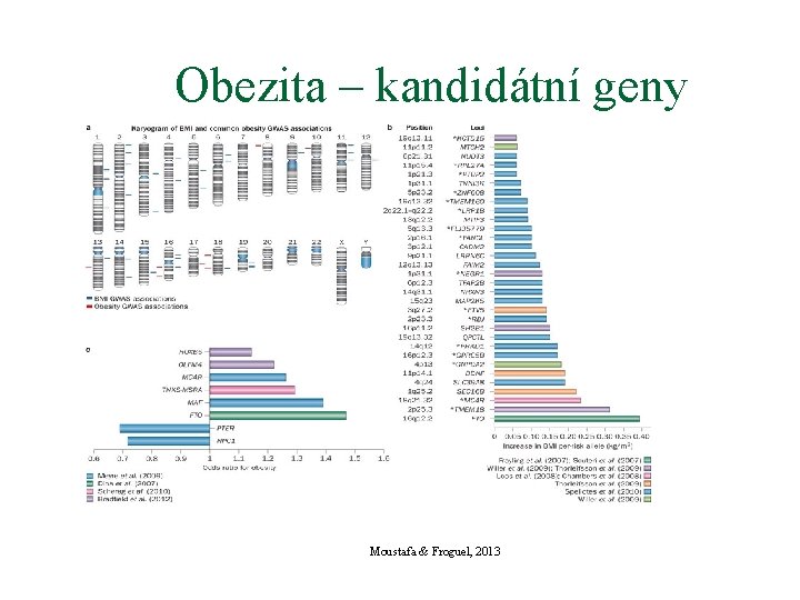 Obezita – kandidátní geny Moustafa & Froguel, 2013 
