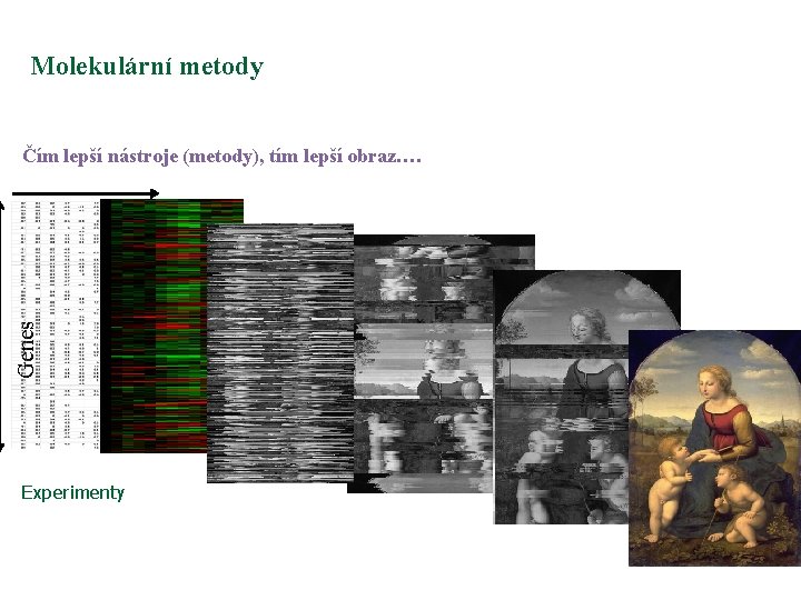 Molekulární metody Genes Čím lepší nástroje (metody), tím lepší obraz…. Experimenty 