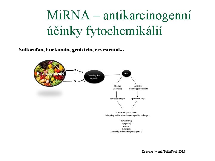 Mi. RNA – antikarcinogenní účinky fytochemikálií Sulforafan, kurkumin, genistein, revestratol. . . Krakowsky and