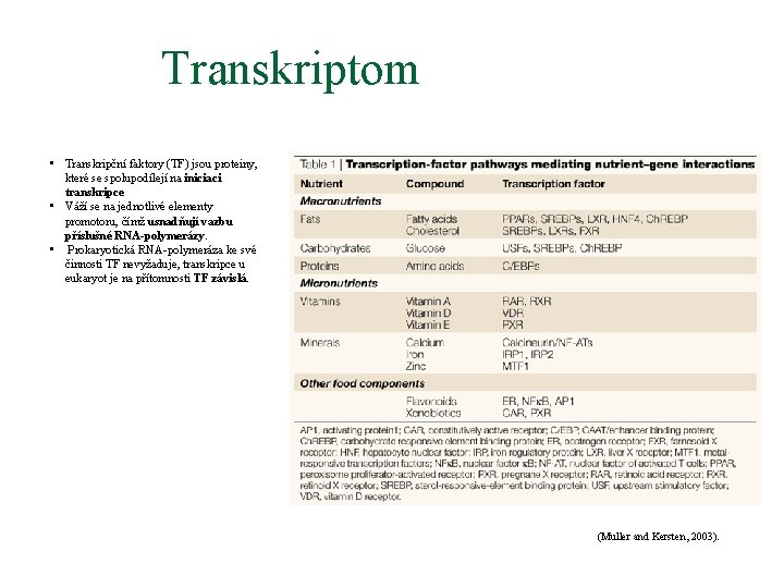 Transkriptom • Transkripční faktory (TF) jsou proteiny, které se spolupodílejí na iniciaci transkripce •
