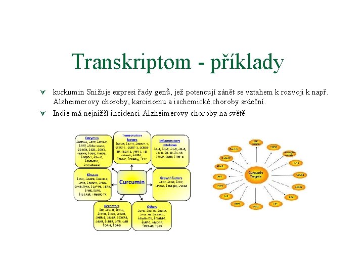 Transkriptom - příklady Ú kurkumin Snižuje expresi řady genů, jež potencují zánět se vztahem