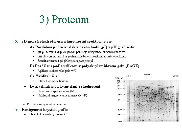 3) Proteom 3. 2 D gelová elektroforéza a hmotnostní spektrometrie – A) Rozdělení podle
