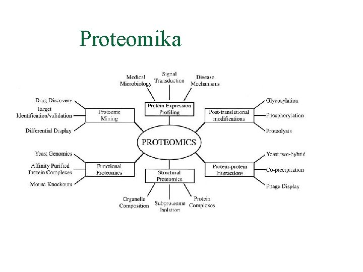 Proteomika 